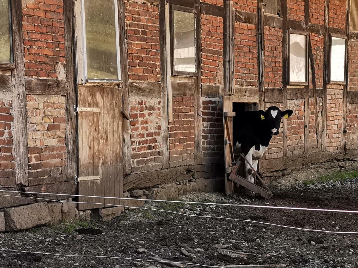 Ferienhof Ehlers Hulsede Exterior photo